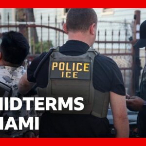 Could ICE swing Florida against Trump this US midterms? | BBC News