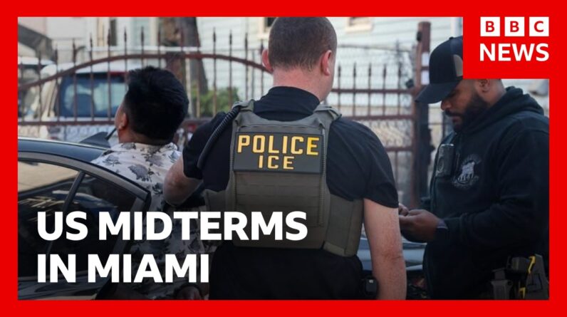 Could ICE swing Florida against Trump this US midterms? | BBC News