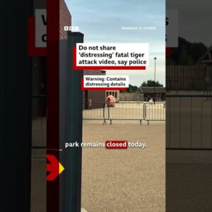 Do not share ‘distressing’ fatal tiger attack video, say police. #BBCNews