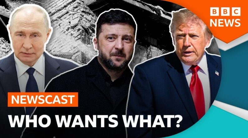 Does President Trump's 'energy ceasefire' actually exist? | BBC Newscast