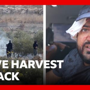 Israeli settlers attack Palestinians in West Bank during olive harvest | BBC News