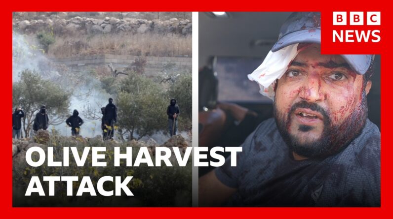 Israeli settlers attack Palestinians in West Bank during olive harvest | BBC News