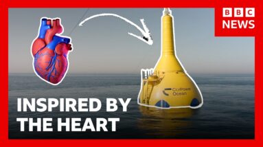 How this wave energy system is inspired by the human heart | BBC News