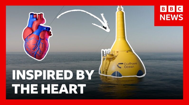 How this wave energy system is inspired by the human heart | BBC News