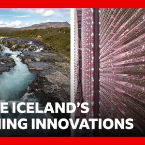 Inside Iceland's farming innovations | BBC News