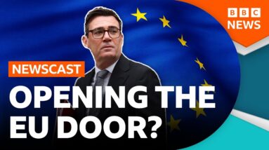 Is the UK trying to renegotiate Brexit? | BBC News