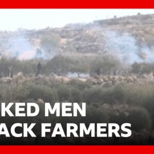 Jewish settlers attack Palestinian olive farmers in West Bank | BBC News