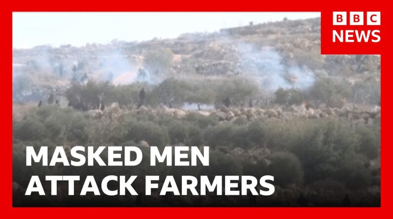 Jewish settlers attack Palestinian olive farmers in West Bank | BBC News