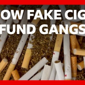 The dark truth behind your cheap cigarettes - Behind The Investigation | BBC News