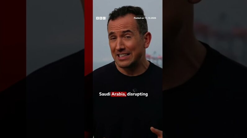 At least 12 people were killed in Saturday's attack on the airport in Riyadh. #SaudiArabia#BBCNews