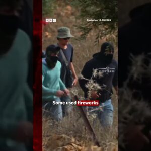 Israeli settlers attack Palestinians harvesting olives in West Bank. #BBCNews