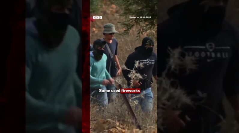 Israeli settlers attack Palestinians harvesting olives in West Bank. #BBCNews