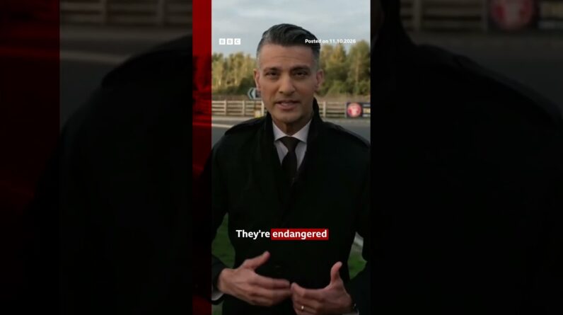 Wildlife park where man fatally attacked by tiger gives update. #YorkshireWildlifePark #BBCNews