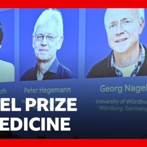 Nobel Prize awarded for revealing inner workings of the brain | BBC News