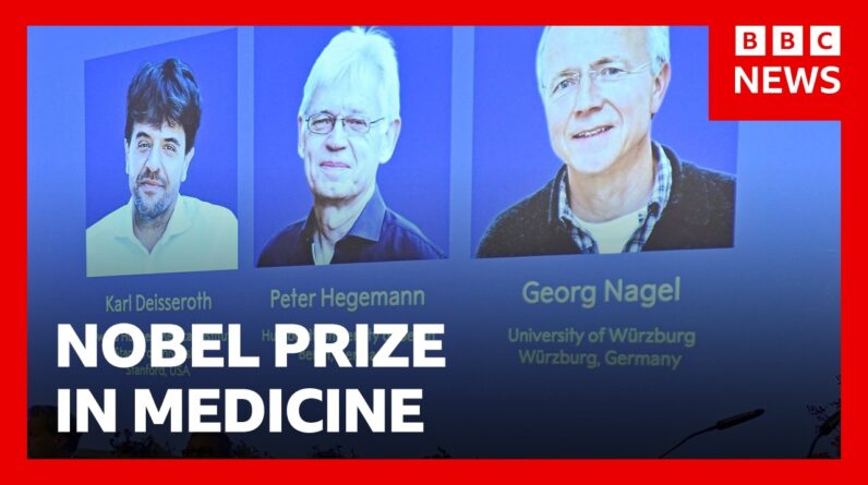 Nobel Prize awarded for revealing inner workings of the brain | BBC News