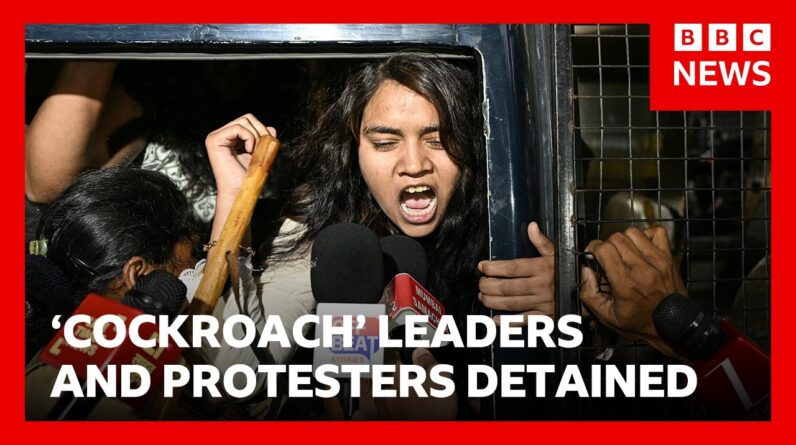 'Cockroach' leaders and hundreds of protesters detained in Delhi | BBC News