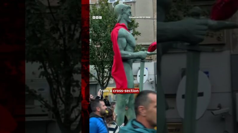 How Serbian student protesters turned this surgeon into a politician. #BBCNews