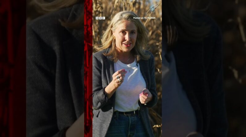 What are Iowa voters thinking ahead of the midterms?
