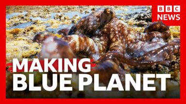 What it takes to make Blue Planet III | BBC News