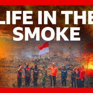 Why a toxic choking haze has gripped Indonesia for months | BBC News