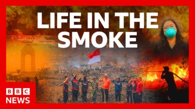 Why a toxic choking haze has gripped Indonesia for months | BBC News